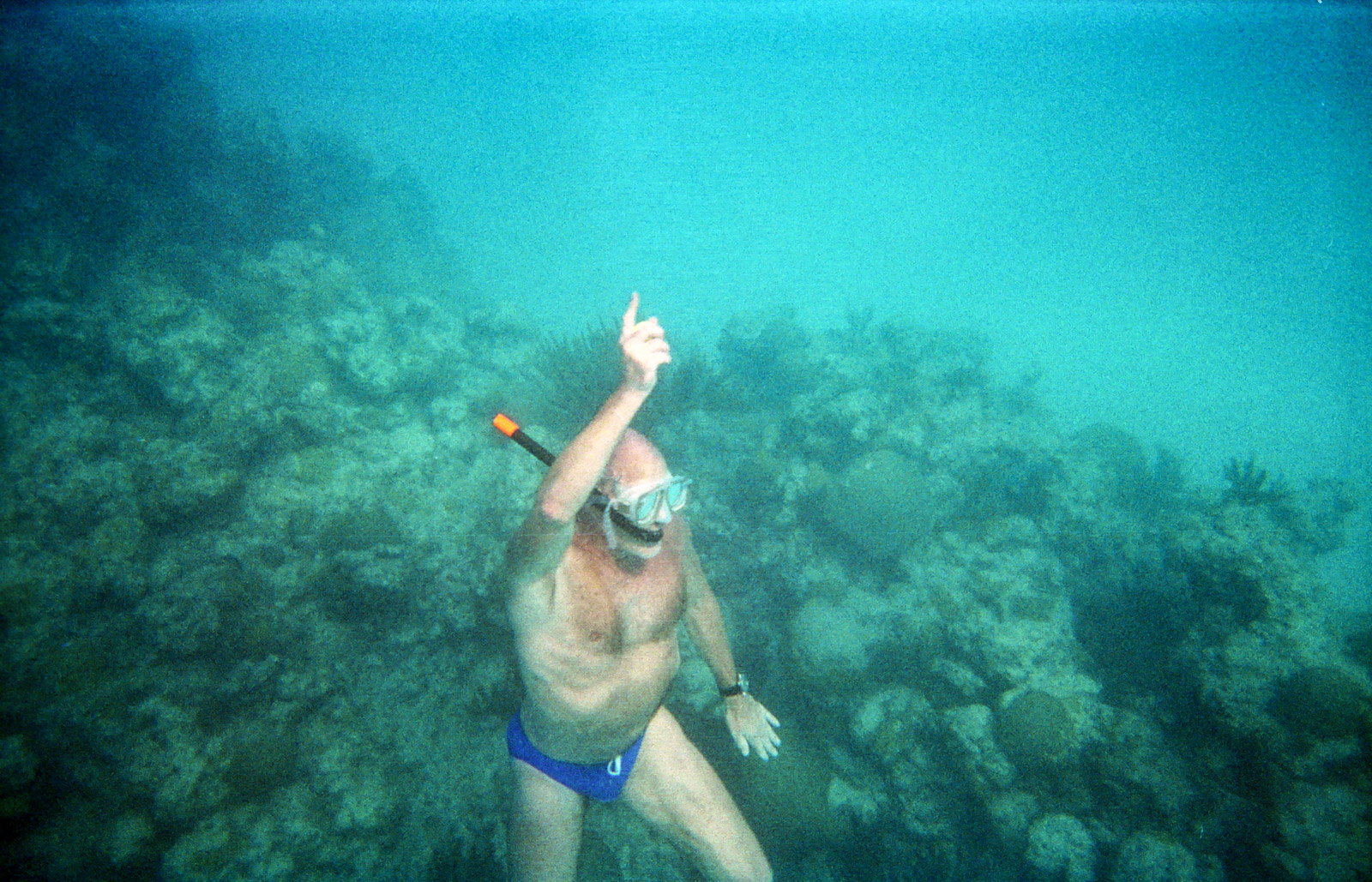 Bermuda scuba